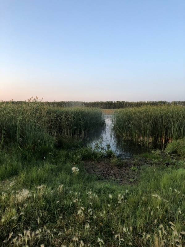 Фотоотчет с рыбалки. Место: Омск (Омская обл.)