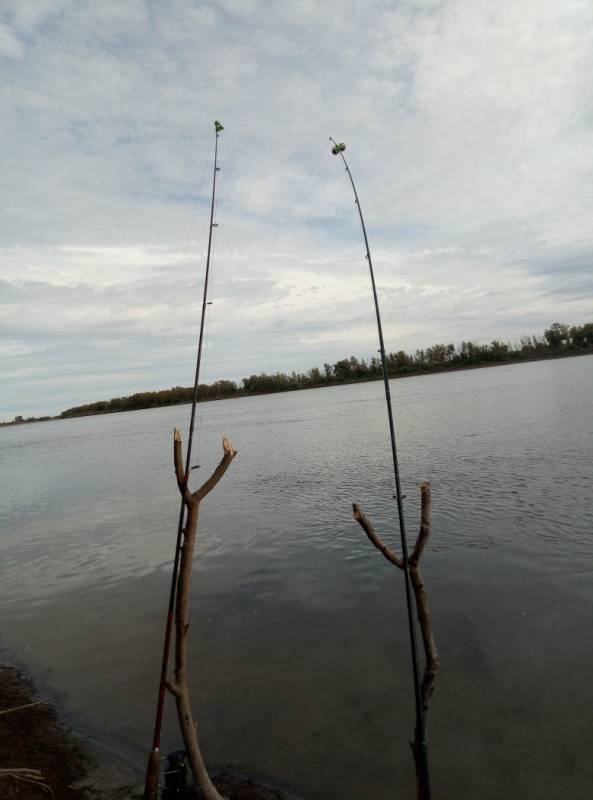 Фотоотчет с рыбалки. Место: Большереченский район