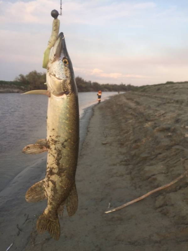 Фотоотчет с рыбалки. Место: Новосибирская область