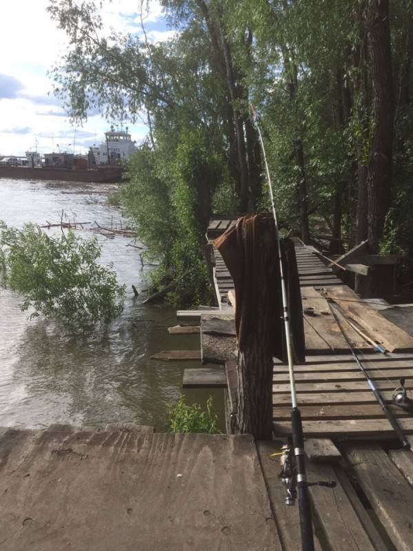 Фотоотчет с рыбалки. Место: Новосибирское водохранилище