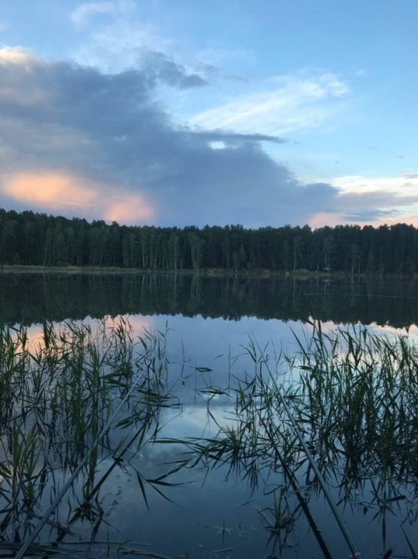 Фотоотчет с рыбалки. Место: Новосибирская область