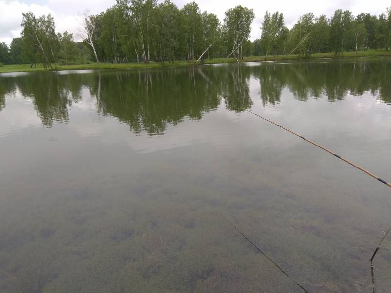 Фотоотчет с рыбалки. Место: Новосибирское водохранилище