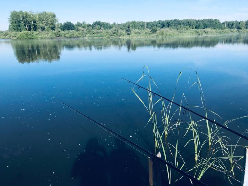 Фотоотчет с рыбалки. Место: Новосибирск