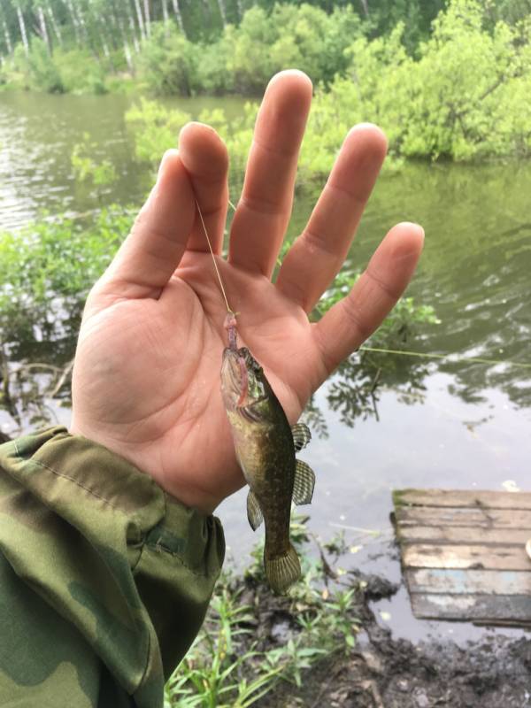 Фотоотчет с рыбалки. Место: Новосибирское водохранилище