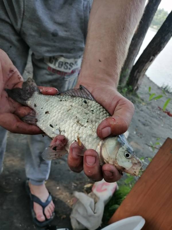 Фотоотчет с рыбалки. Место: Новосибирское водохранилище