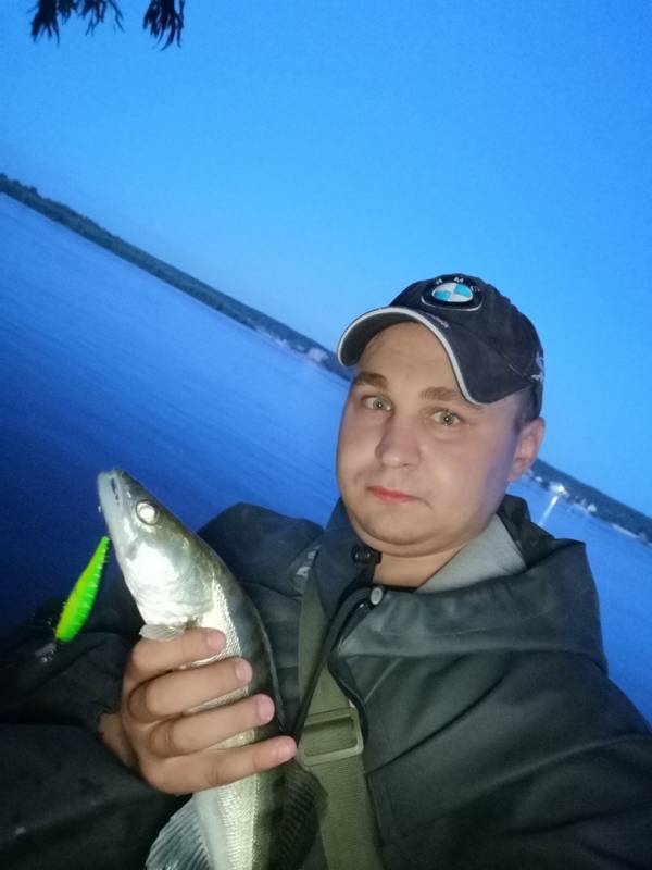 Фотоотчет по рыбе: Судак. Место рыбалки: Новосибирское водохранилище