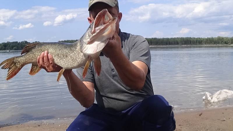 Фотоотчет по рыбе: Щука. Место рыбалки: Новосибирское водохранилище