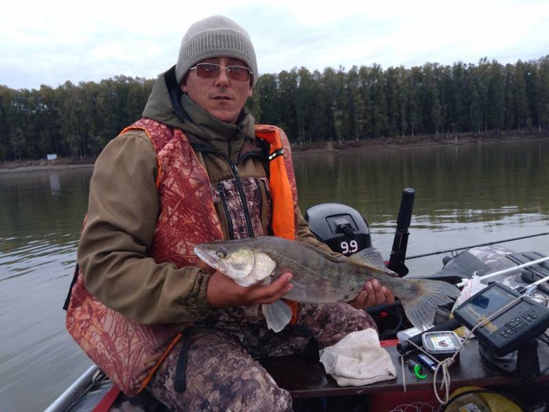 Фотоотчет по рыбе: Судак. Место рыбалки: Новосибирское водохранилище