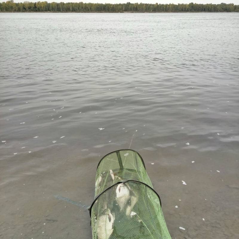 Фотоотчет с рыбалки. Место: Новосибирское водохранилище