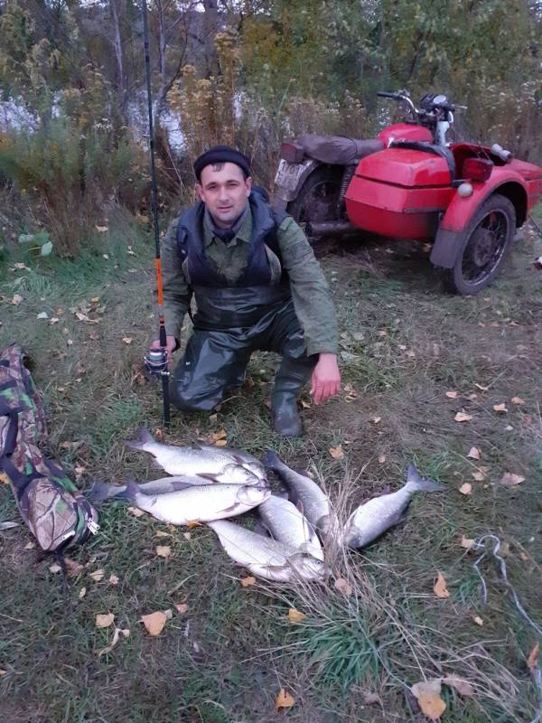 Фотоотчет по рыбе: Жерех. Место рыбалки: Уфа (Башкортостан)