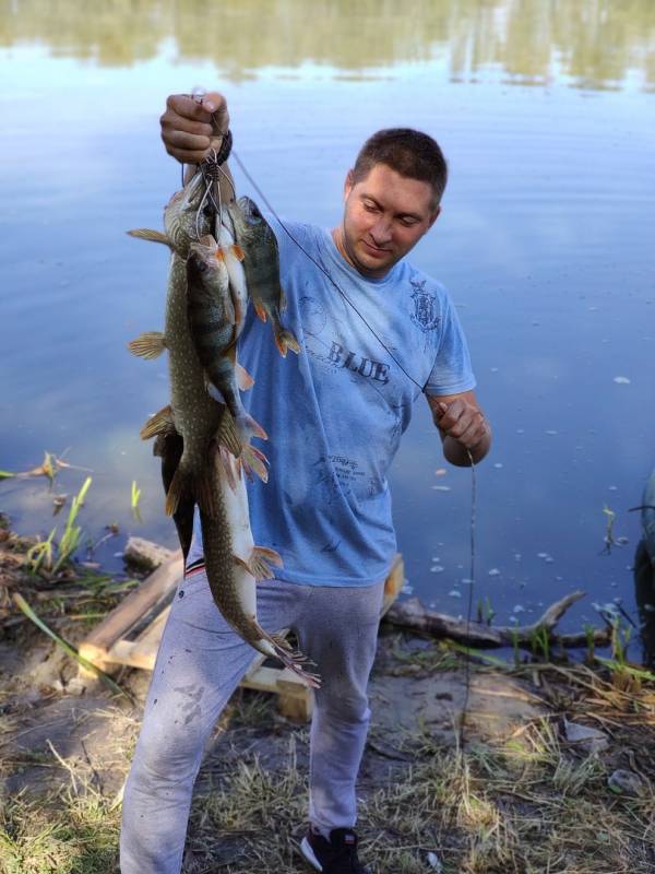 Фотоотчет по рыбе: Щука, Окунь. Место рыбалки: Воронежская область