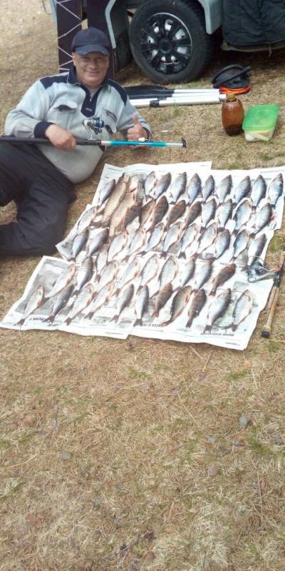 Фотоотчет по рыбе: Щука, Окунь, Плотва. Место рыбалки: Имандра